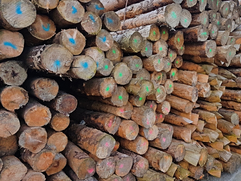 cultuur Slaapzaal verontschuldigen Verkoop hout – Grondwerken – waterwerken – natuurwerken